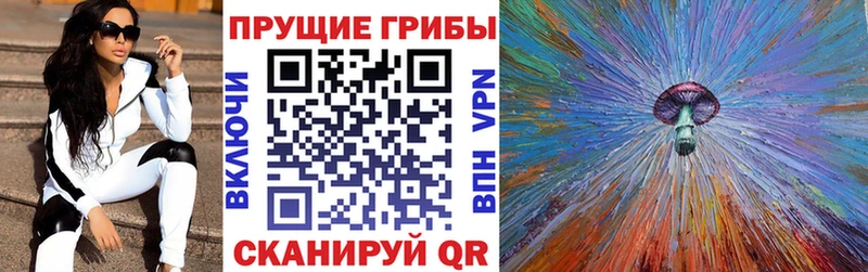 Псилоцибиновые грибы мухоморы Дудинка